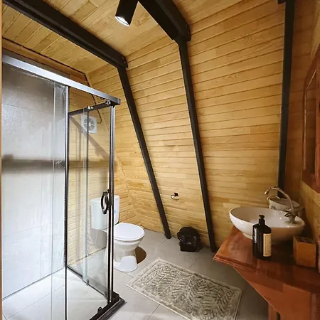 Wolf House